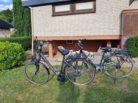 E Bike Verleih incl. Anhänger für Hunde