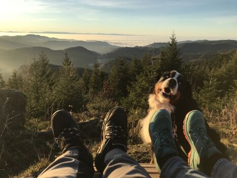 Panoramaweg an der Schwarzwaldhochstraße