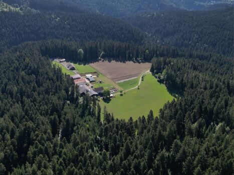 Luftbild Almruhe-Lichtung