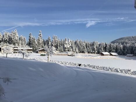 Winter auf der Almruhe