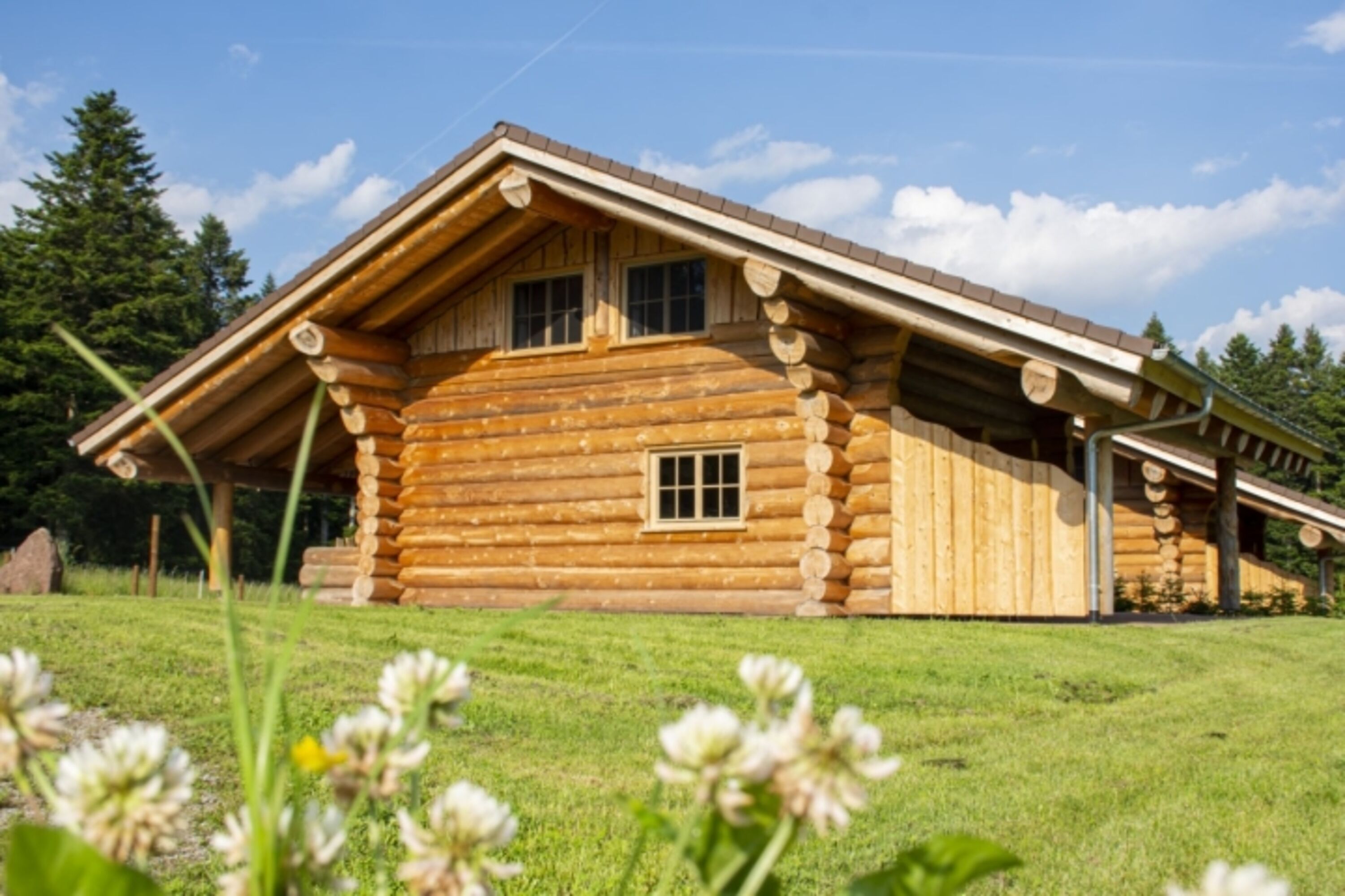 Umgebung (Almhütte "Hofblick" - Ansicht West)
