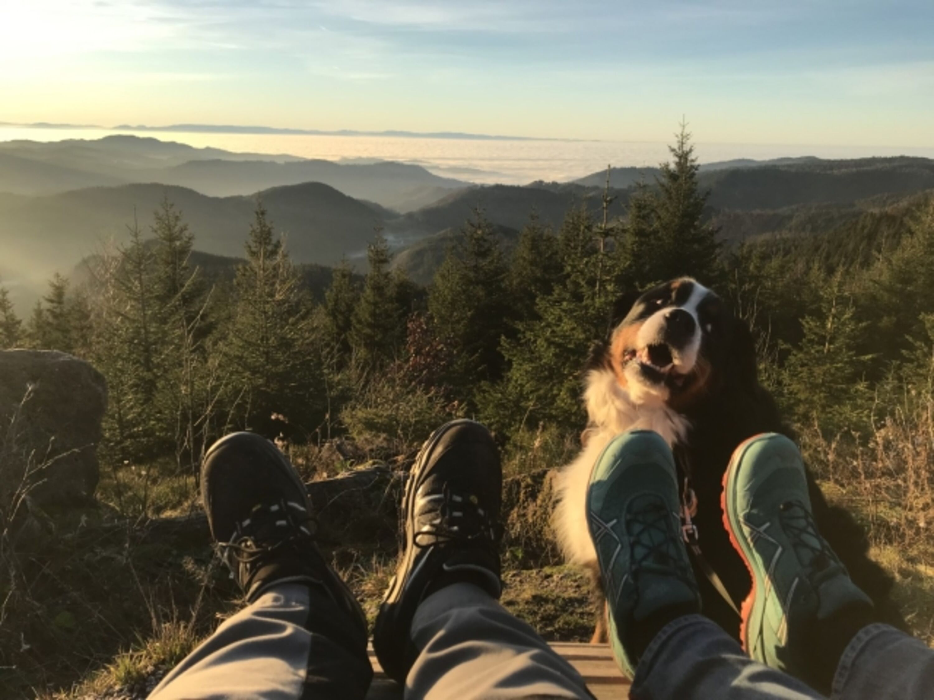 Panoramaweg an der Schwarzwaldhochstraße