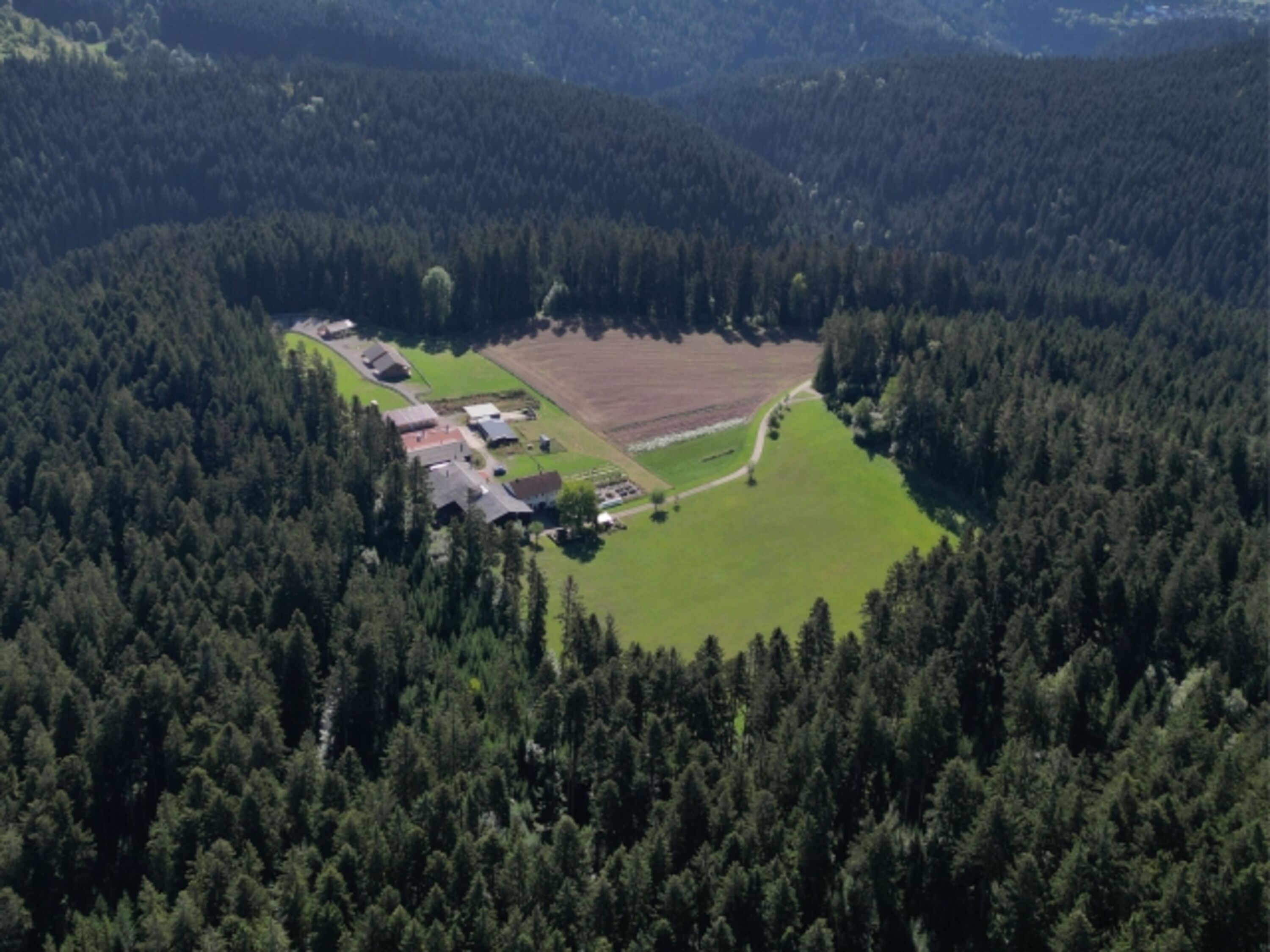 Luftbild Almruhe-Lichtung
