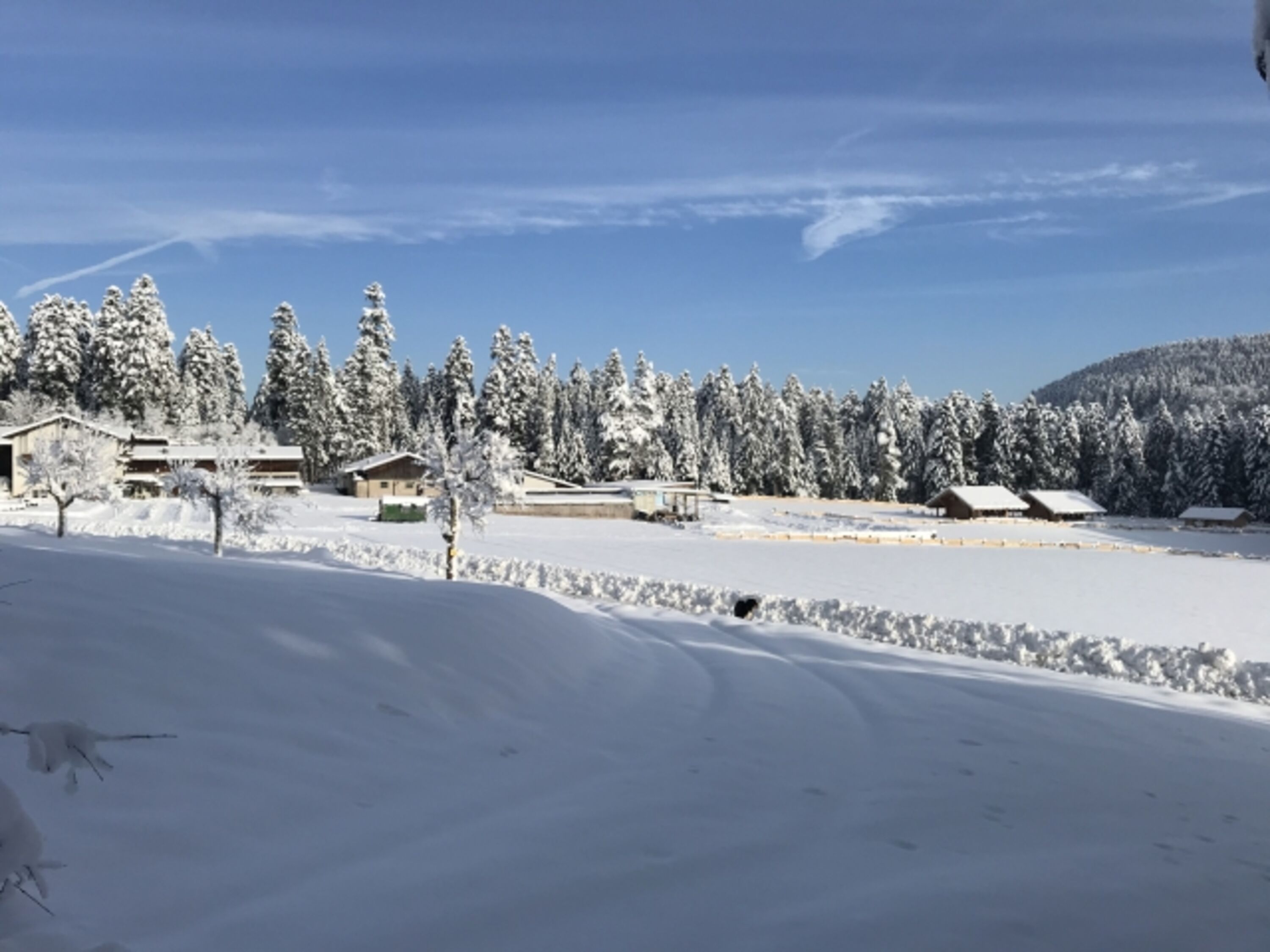 Winter auf der Almruhe