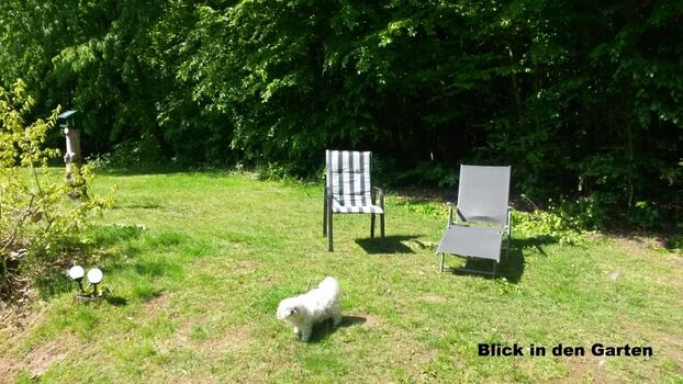 Blick in den Garten