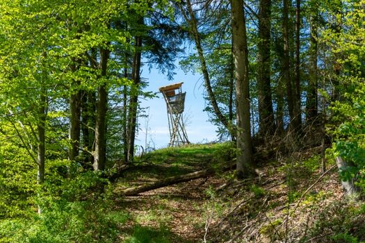 Spazieren Sie auf idyllischen Wegen 