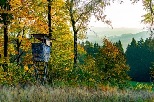 Farbenfrohe Landschaft