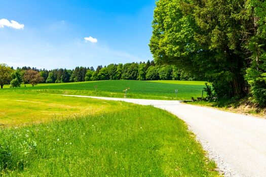 Saftigen Wälder und Wiesen