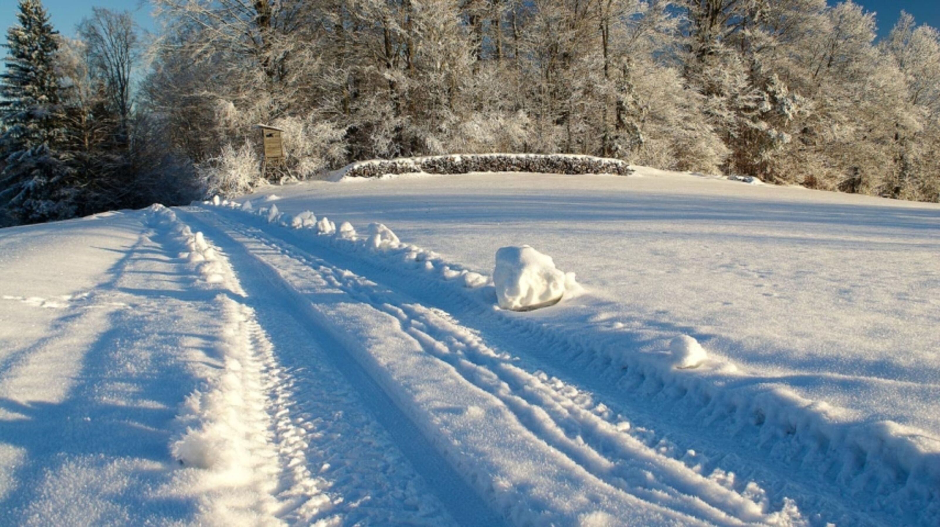 Winterlandschaft