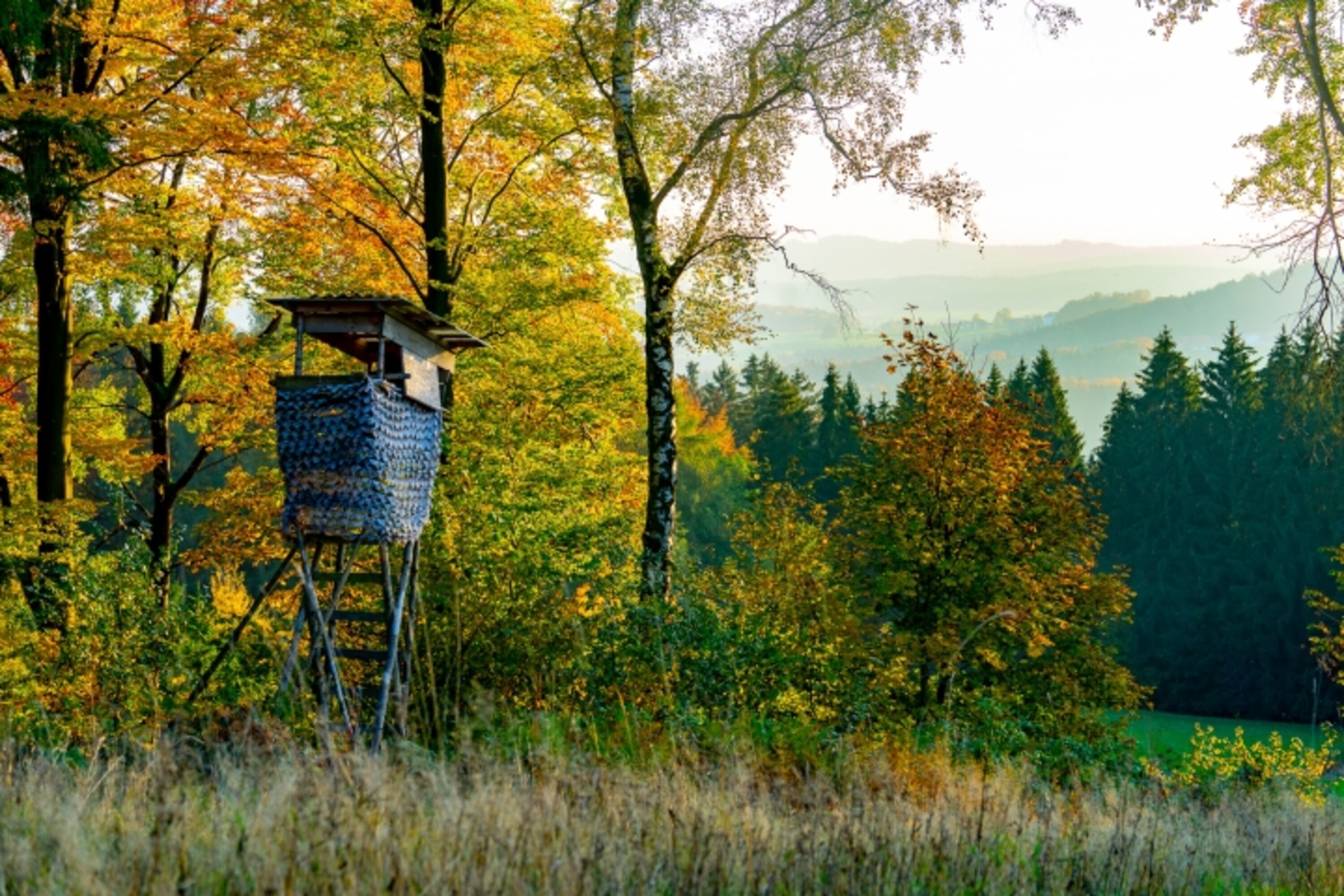 Farbenfrohe Landschaft