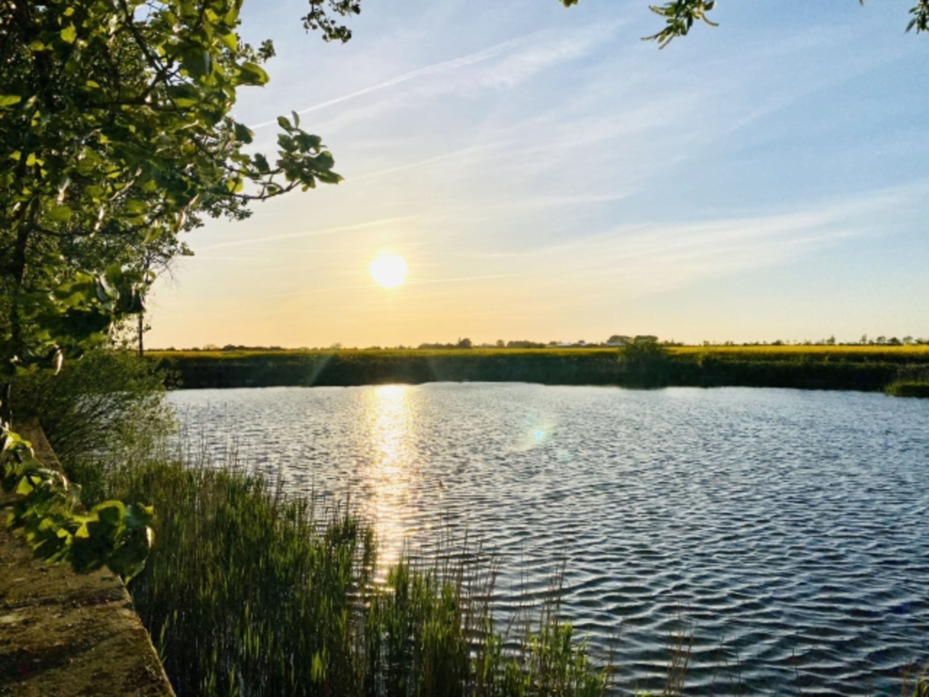 Teich