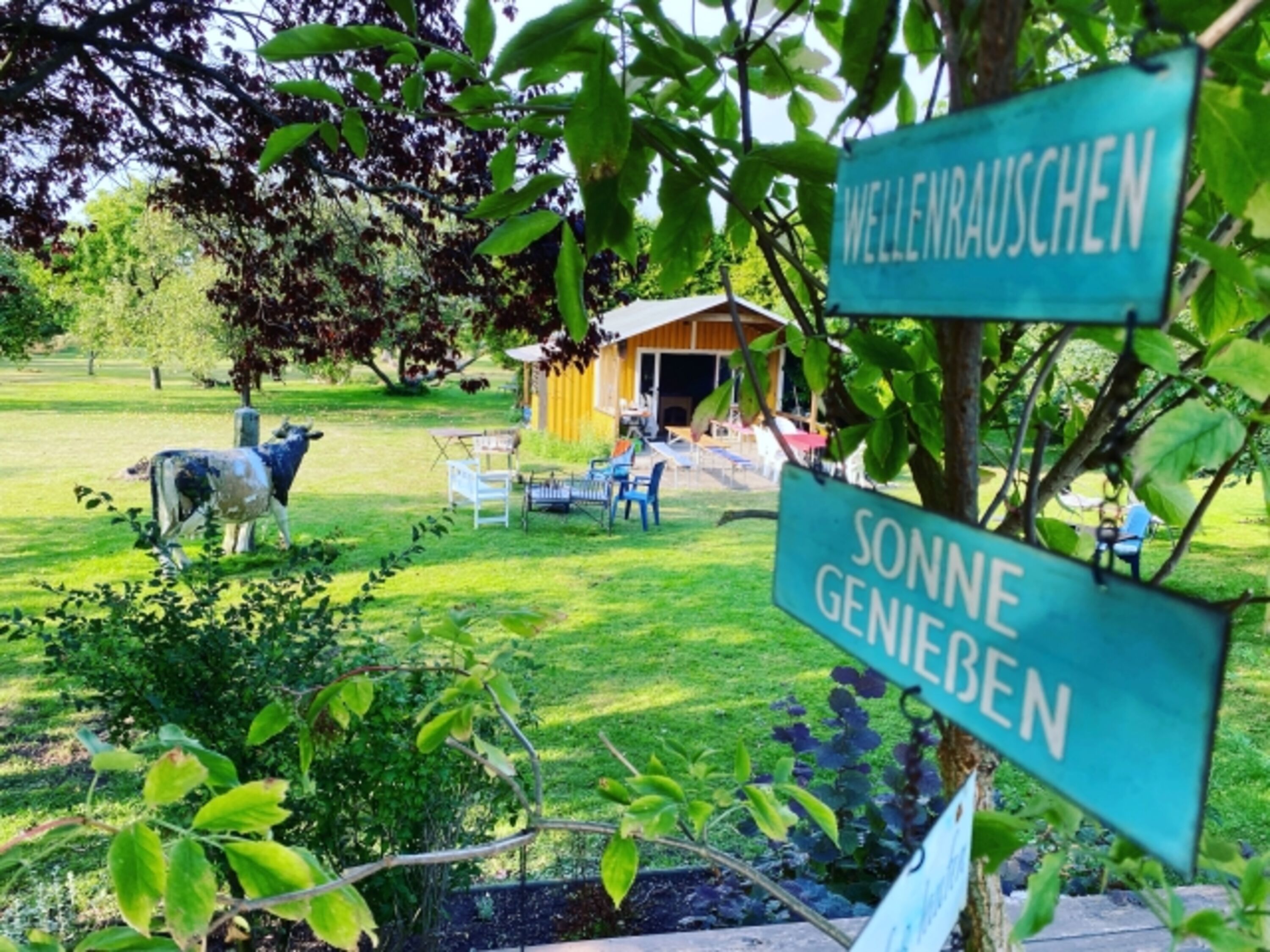 Bild 17
