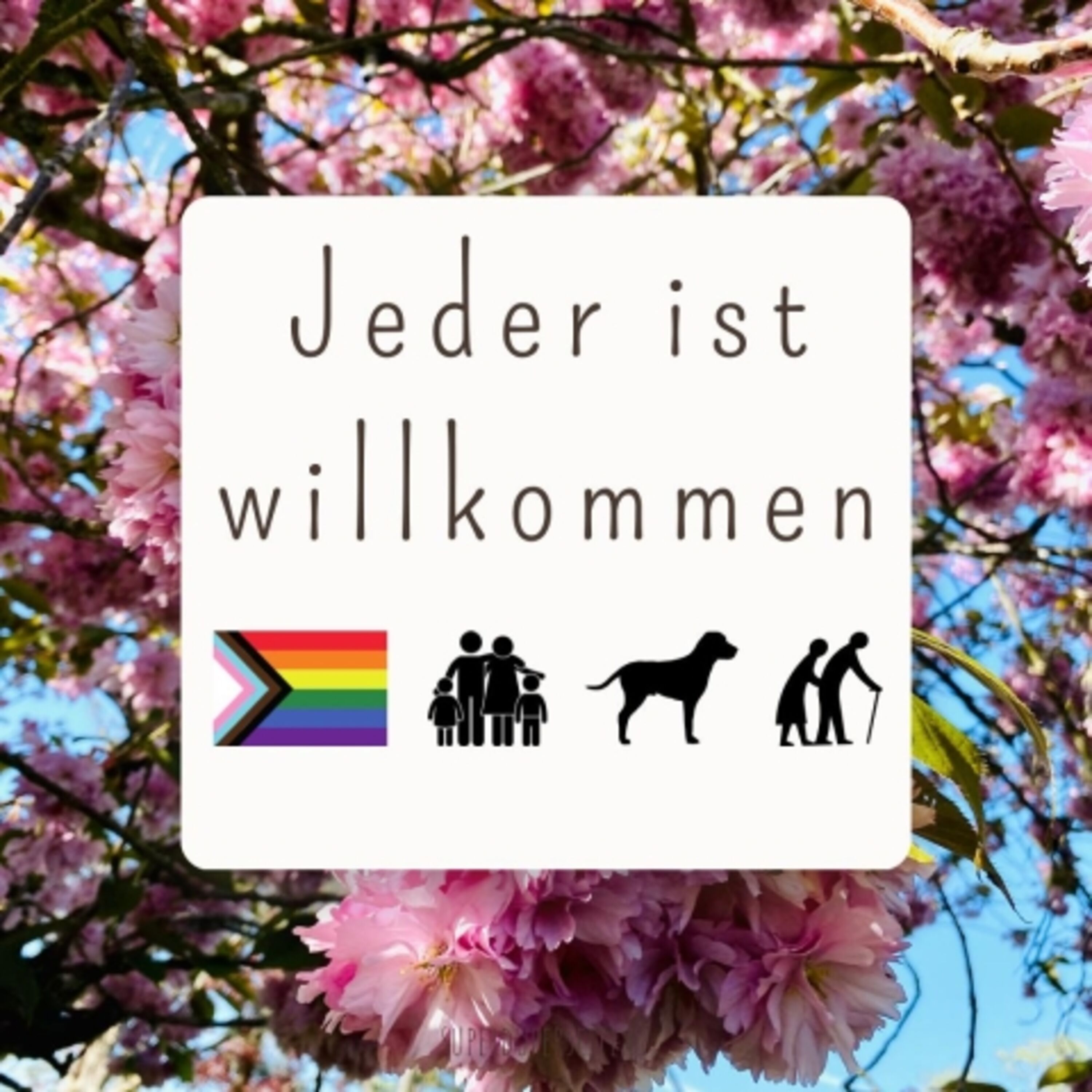 Bild 21