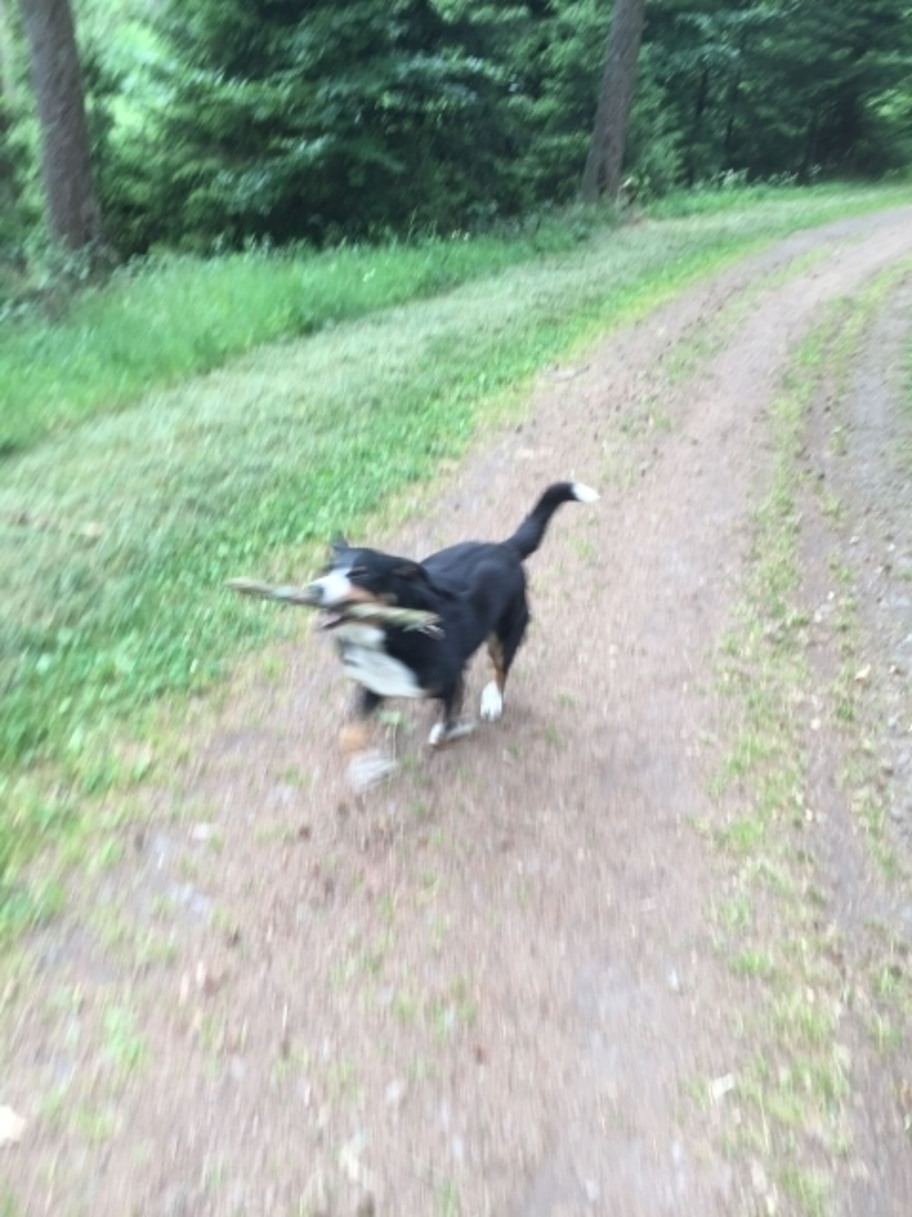 Bild 18