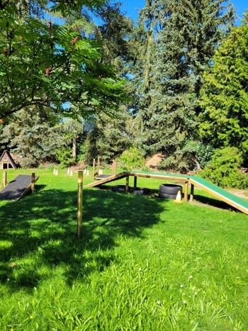 Gemeinschaftsgarten mit Hunde-Therapiegeräten