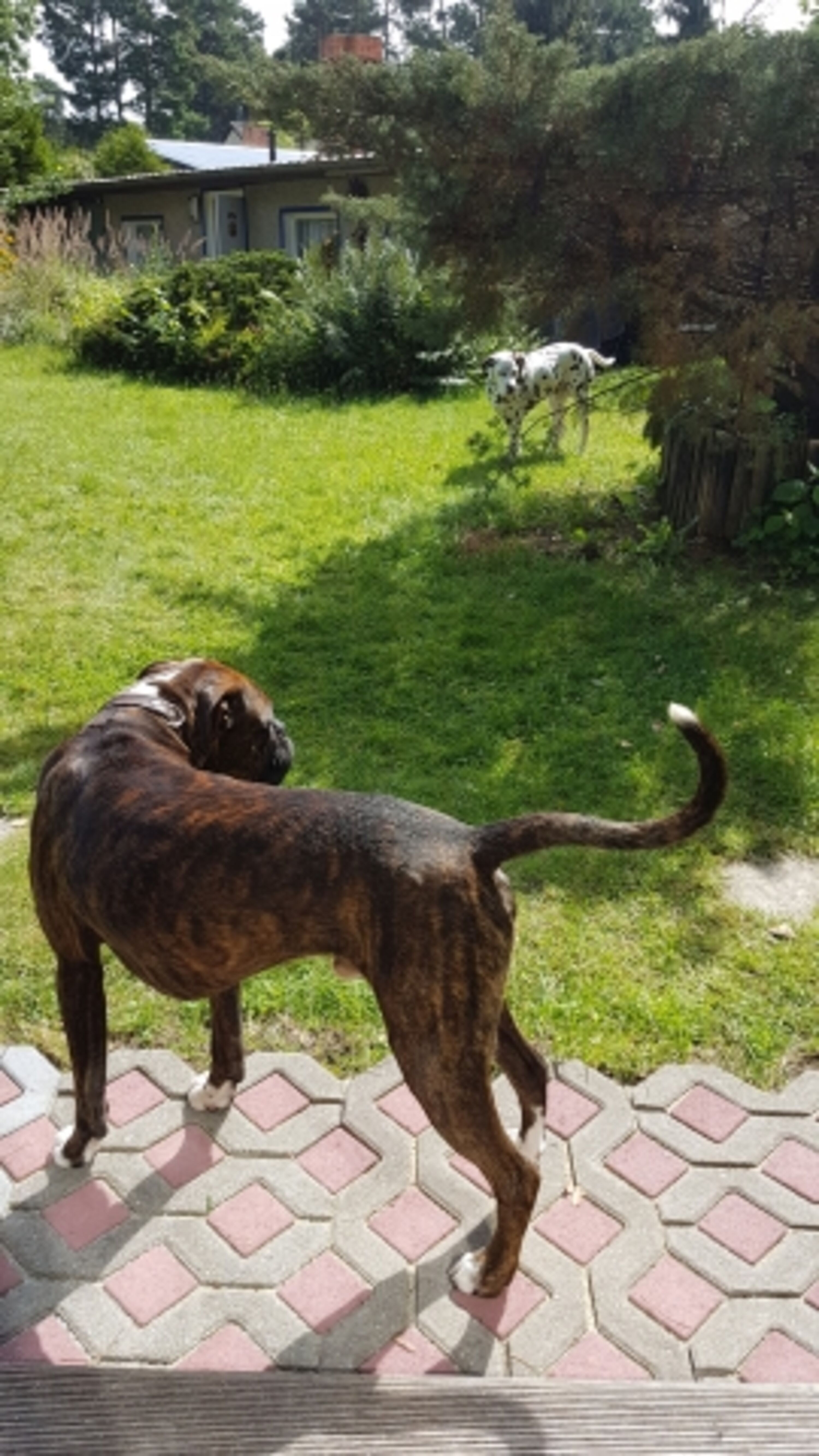 Bild 17