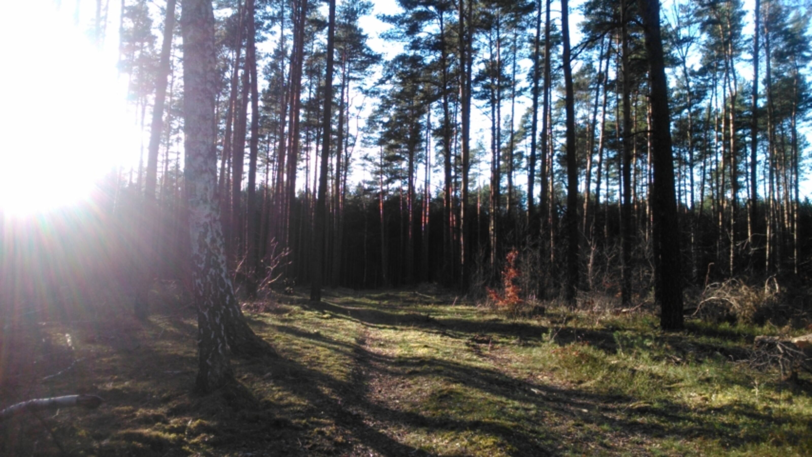 Bild 19