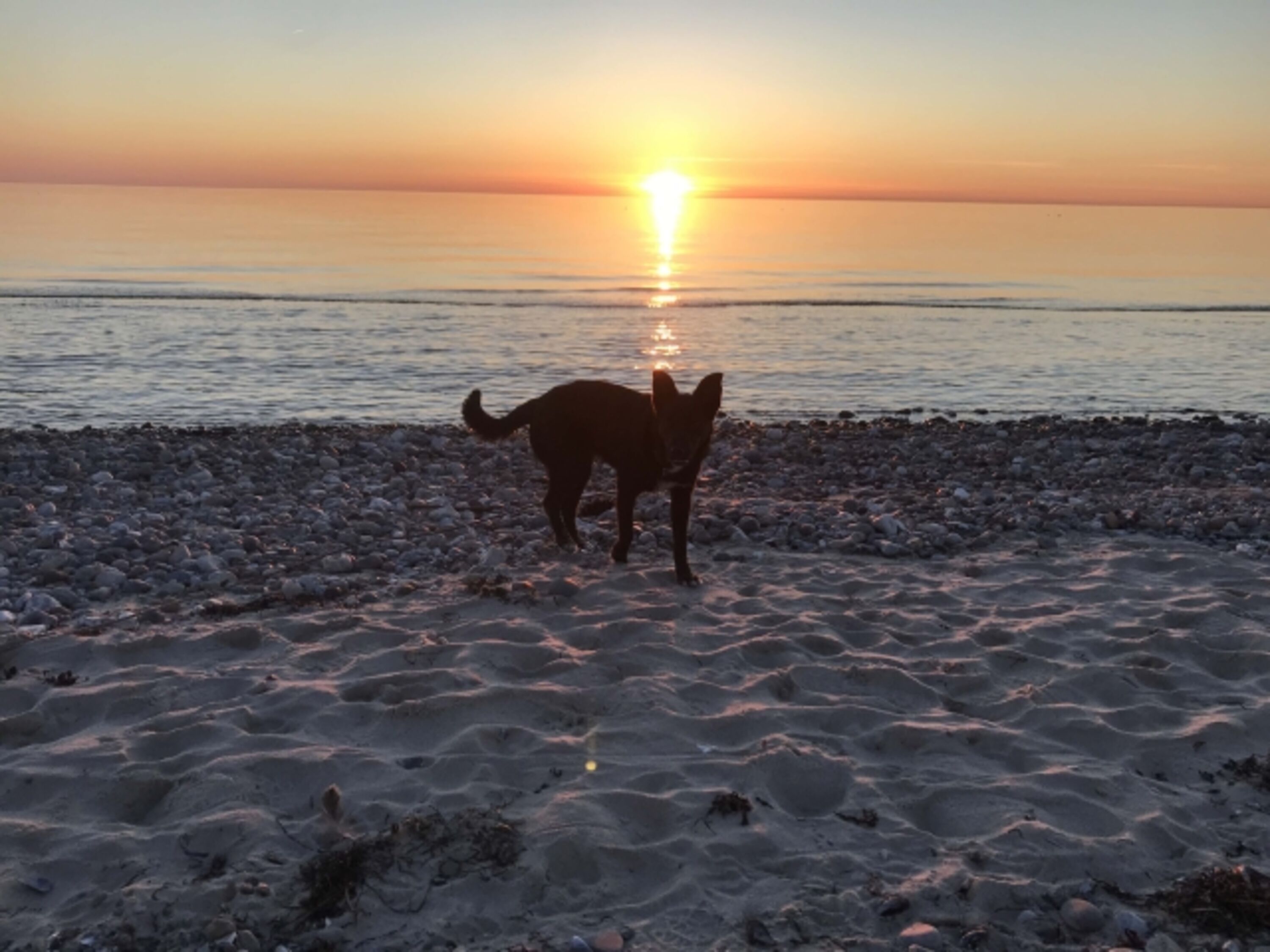 Sonnenuntergänge zum Träumen