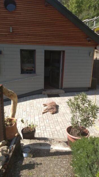 Gartenzugang_Eingangsbereich_Gartennest