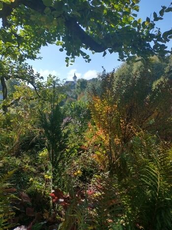 Blick_von_unserem_Garten_den_Gangolfsturm