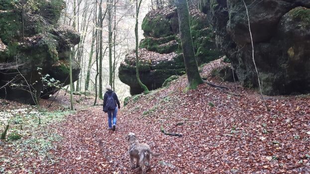 Unterwegs_in_der_Fränkischen