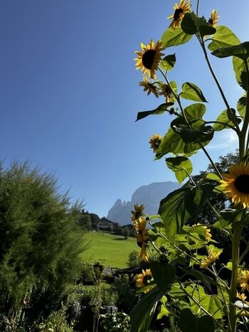 Völs Schlern ca. 35 min von Schabs  Entfernung 