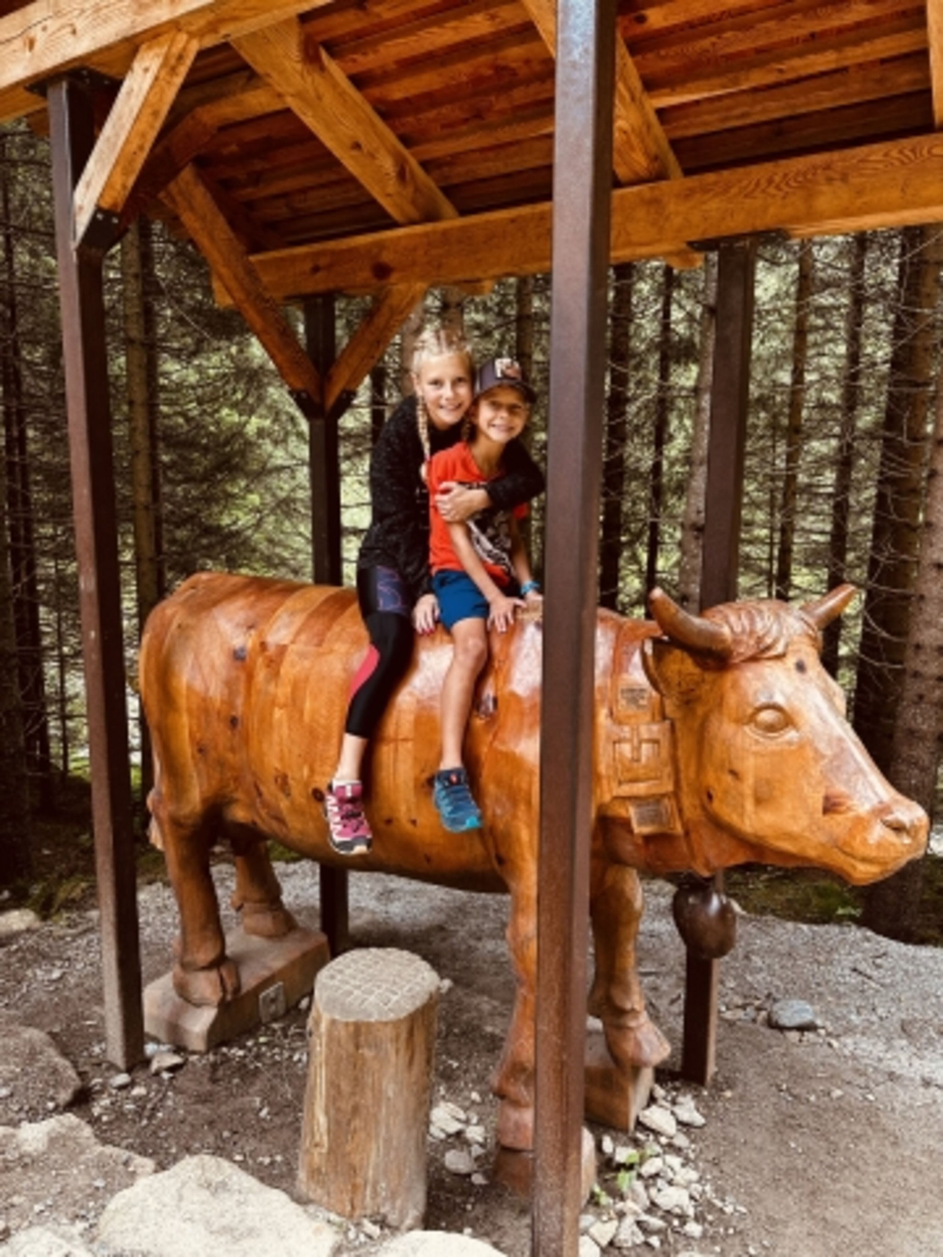 Milchsteig Fane