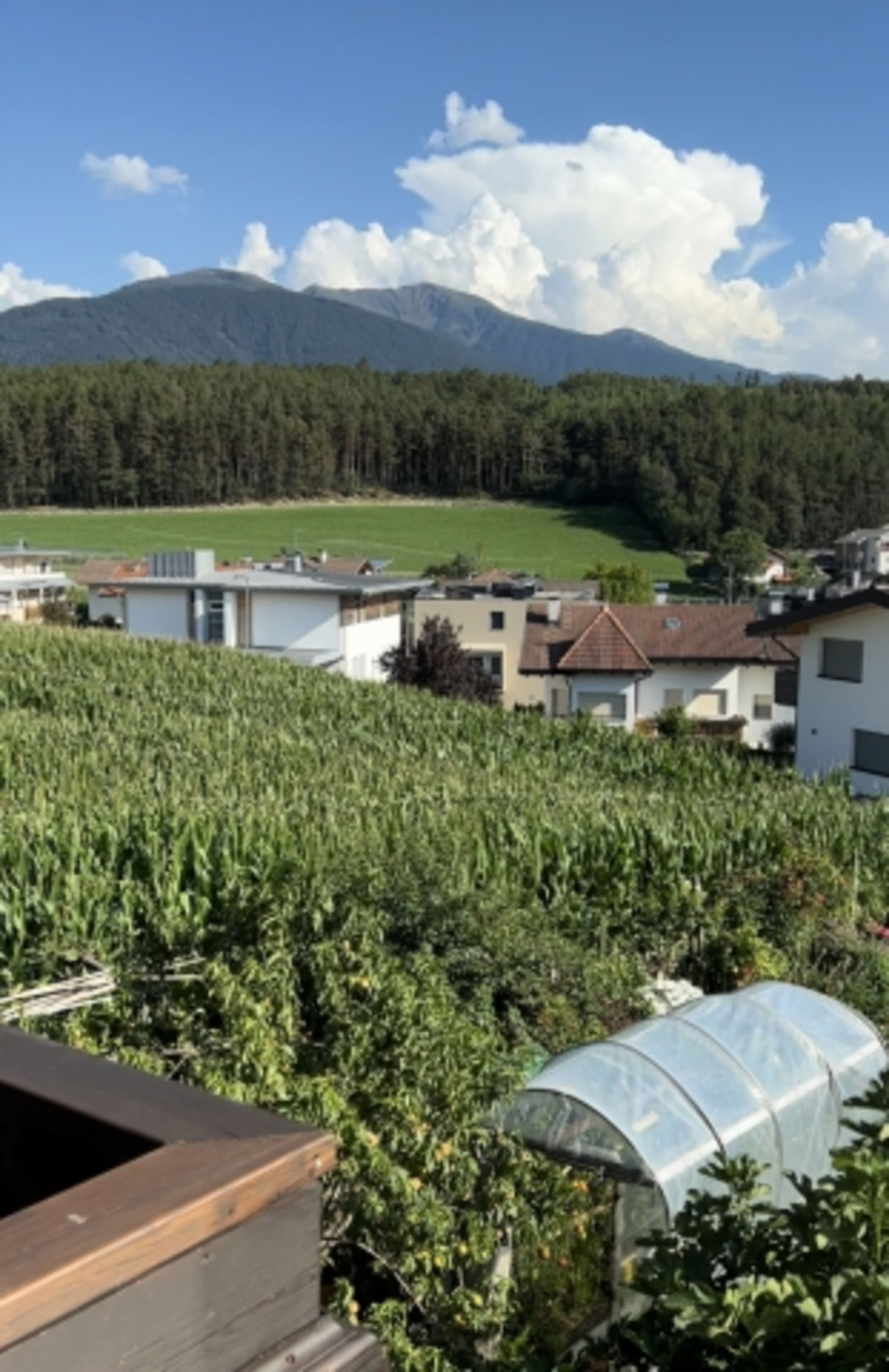 Ausblick Balkon 