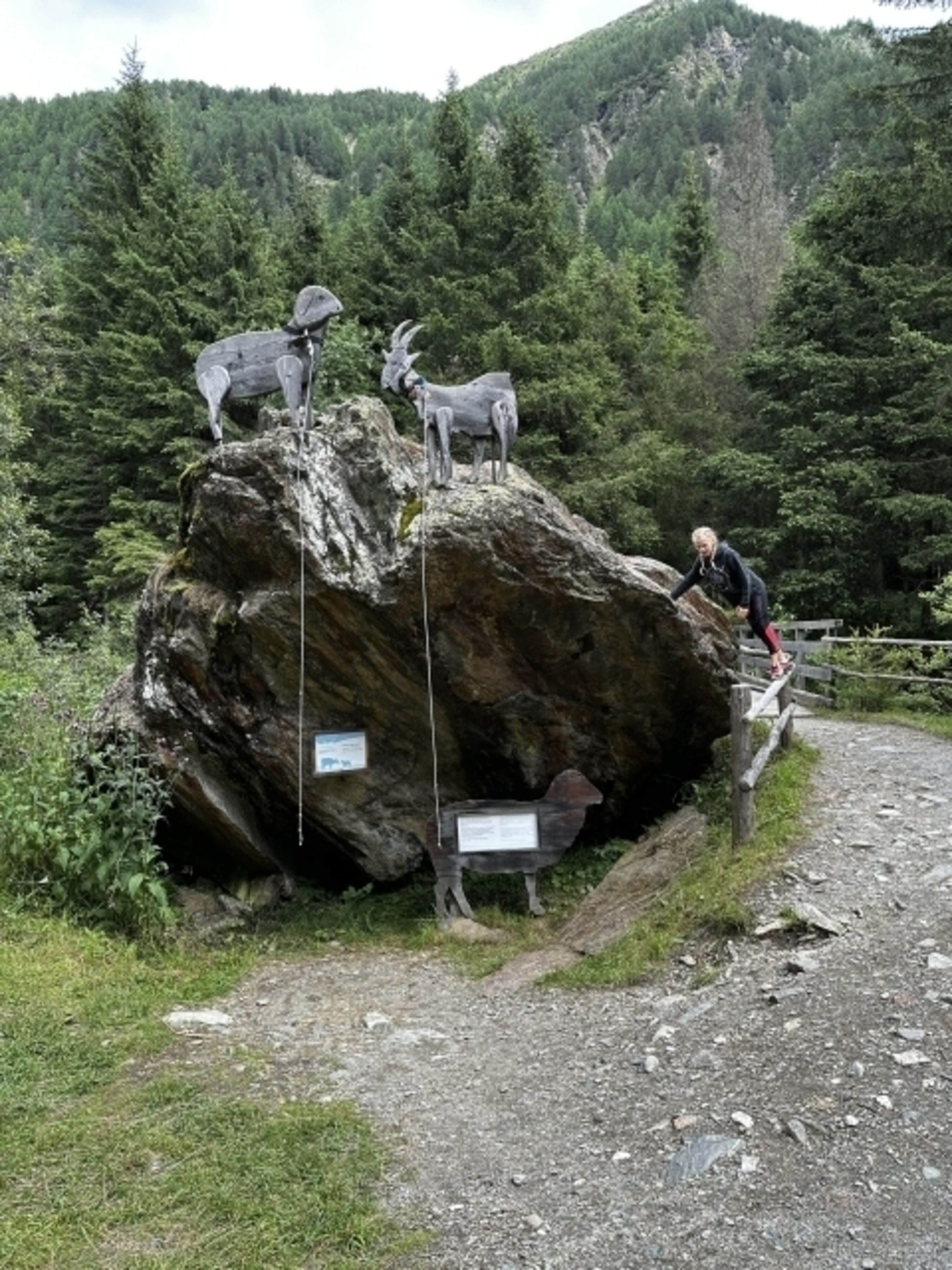 Milchstrig Fane