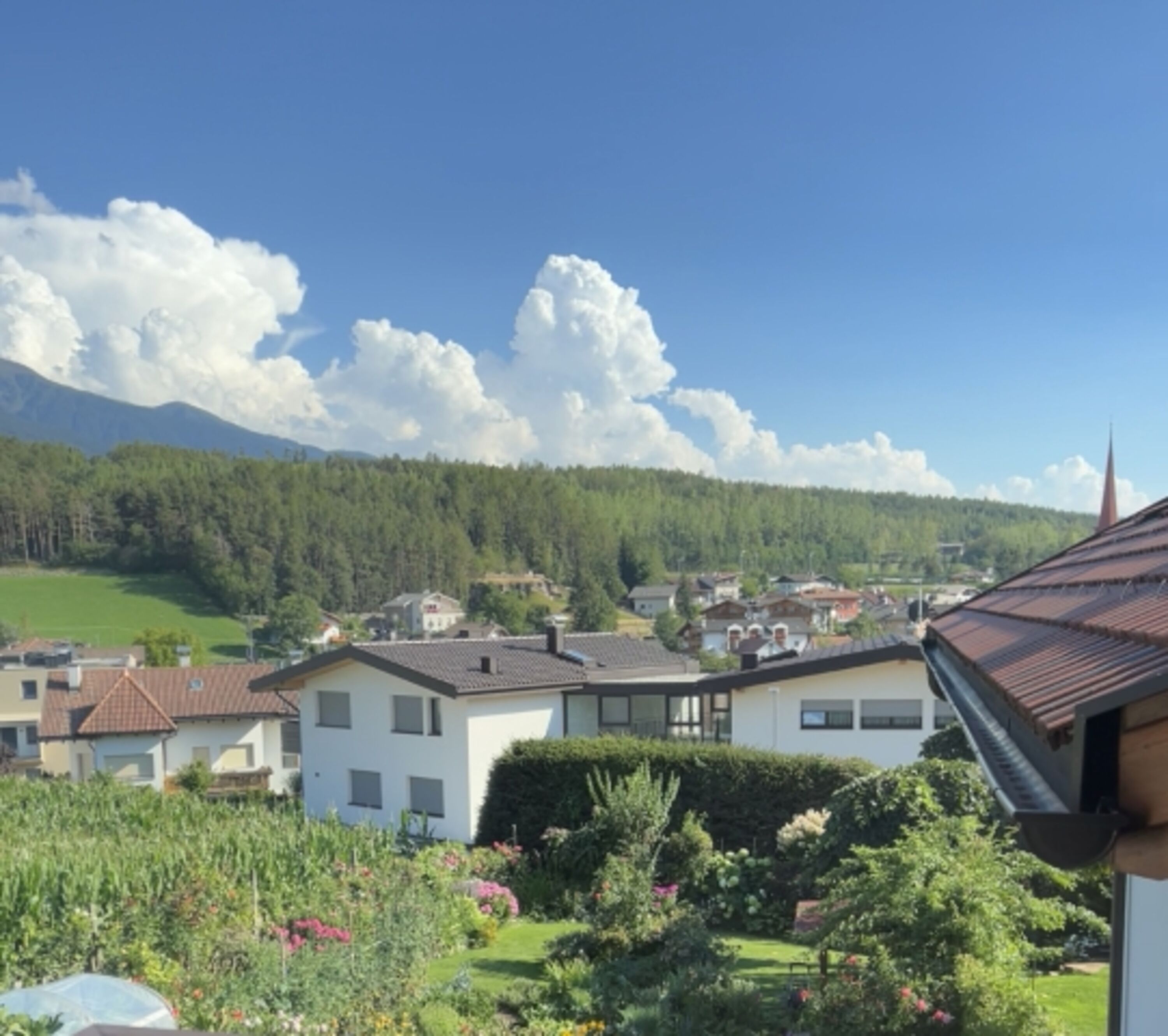 Ausblick 