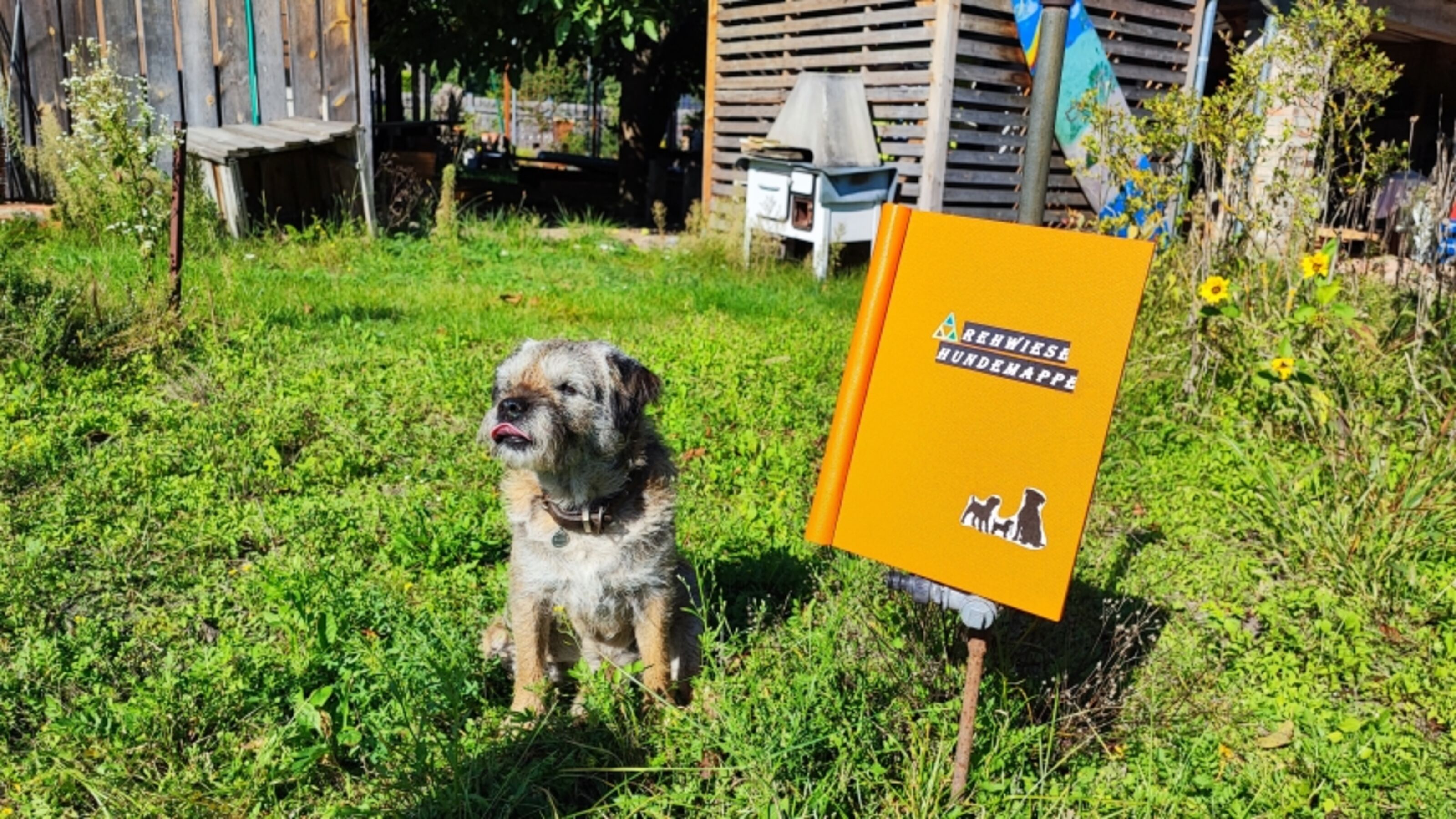 Bild 13