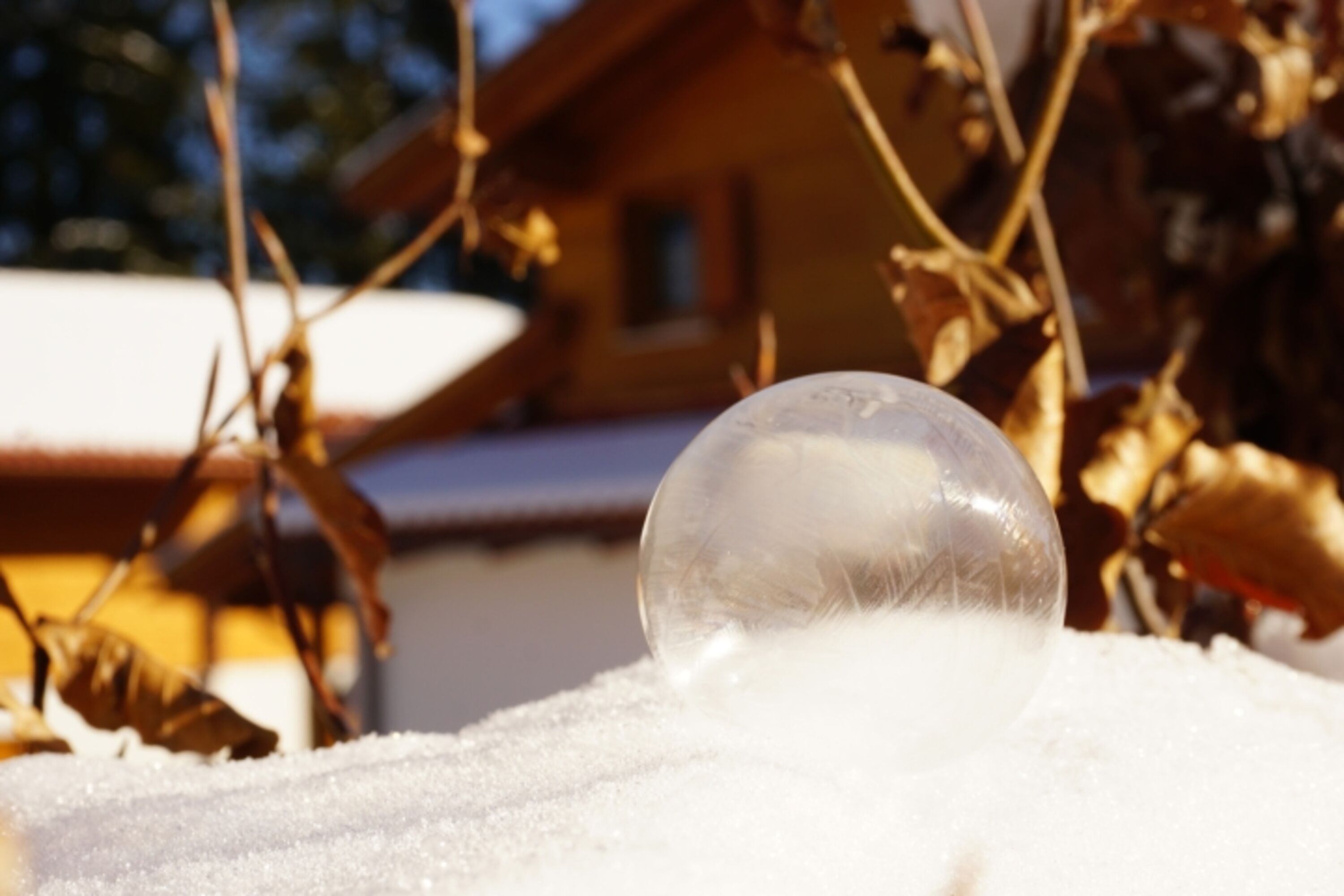 Wintereindrücke