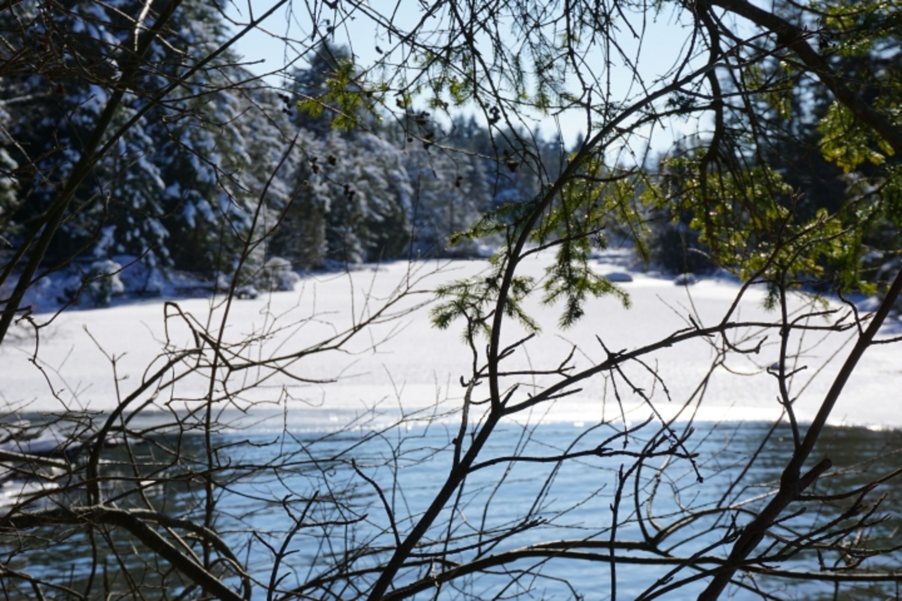 Wintereindrücke