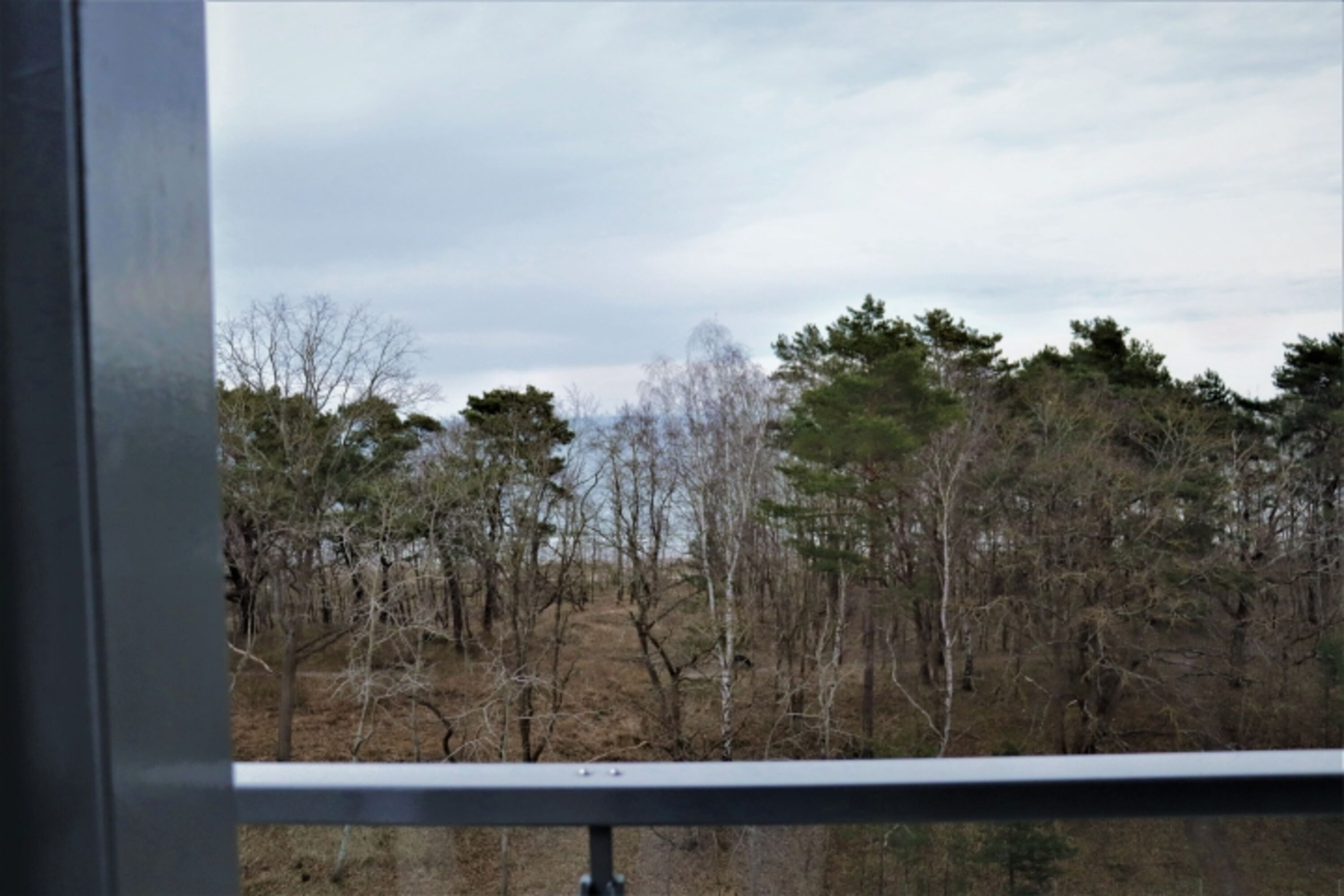 Ausblick
