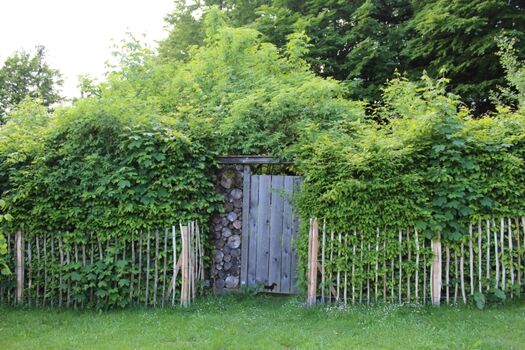 Komplett eingzäunter Garten