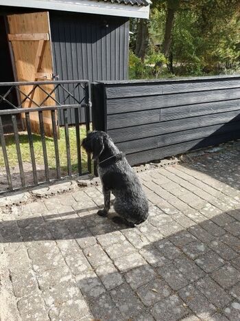 Geschlossene Terrasse