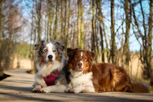 Auf dem Darßer Rundweg - Ein Must See