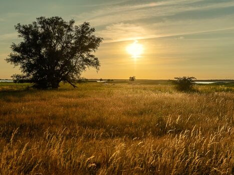 Ruhe und Entspannung 