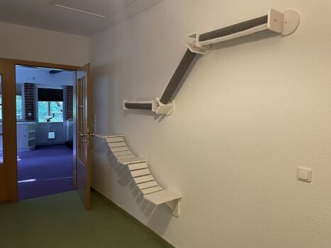 Klettermöglichkeiten für Katzen