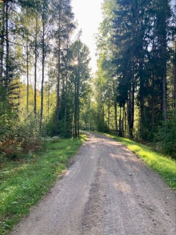 Spaziermöglichkeit am Haus