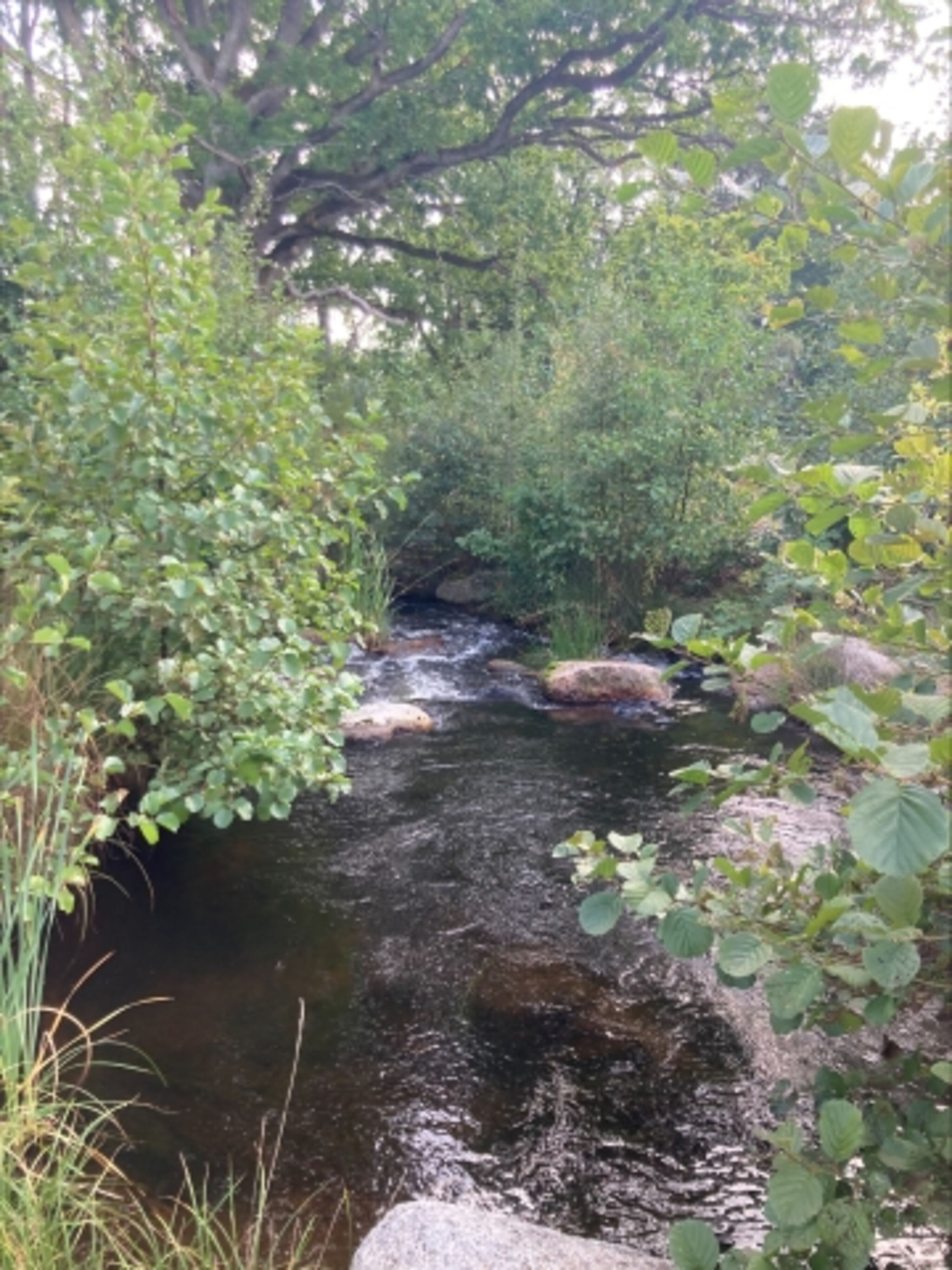 Fluss Eman