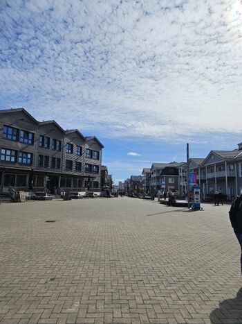 Die Promenade mit chicken Geschäften und Restaurants