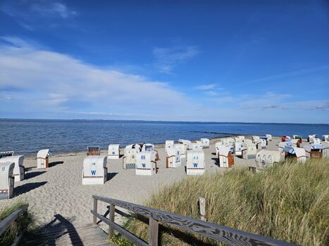 Der Strand mit Strandkörben direkt vor der Haustür