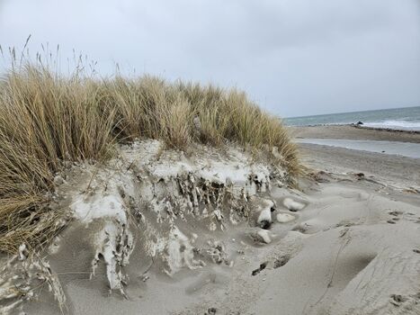Auch im Winter schön