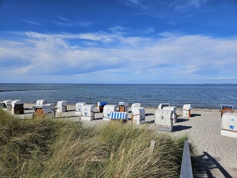 Dreservierte Strandkorb wartet bereits auf Sie!
