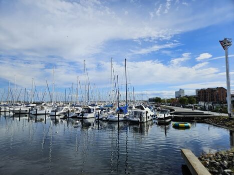 Der moderne Yachthafen - immer was zu entdecken