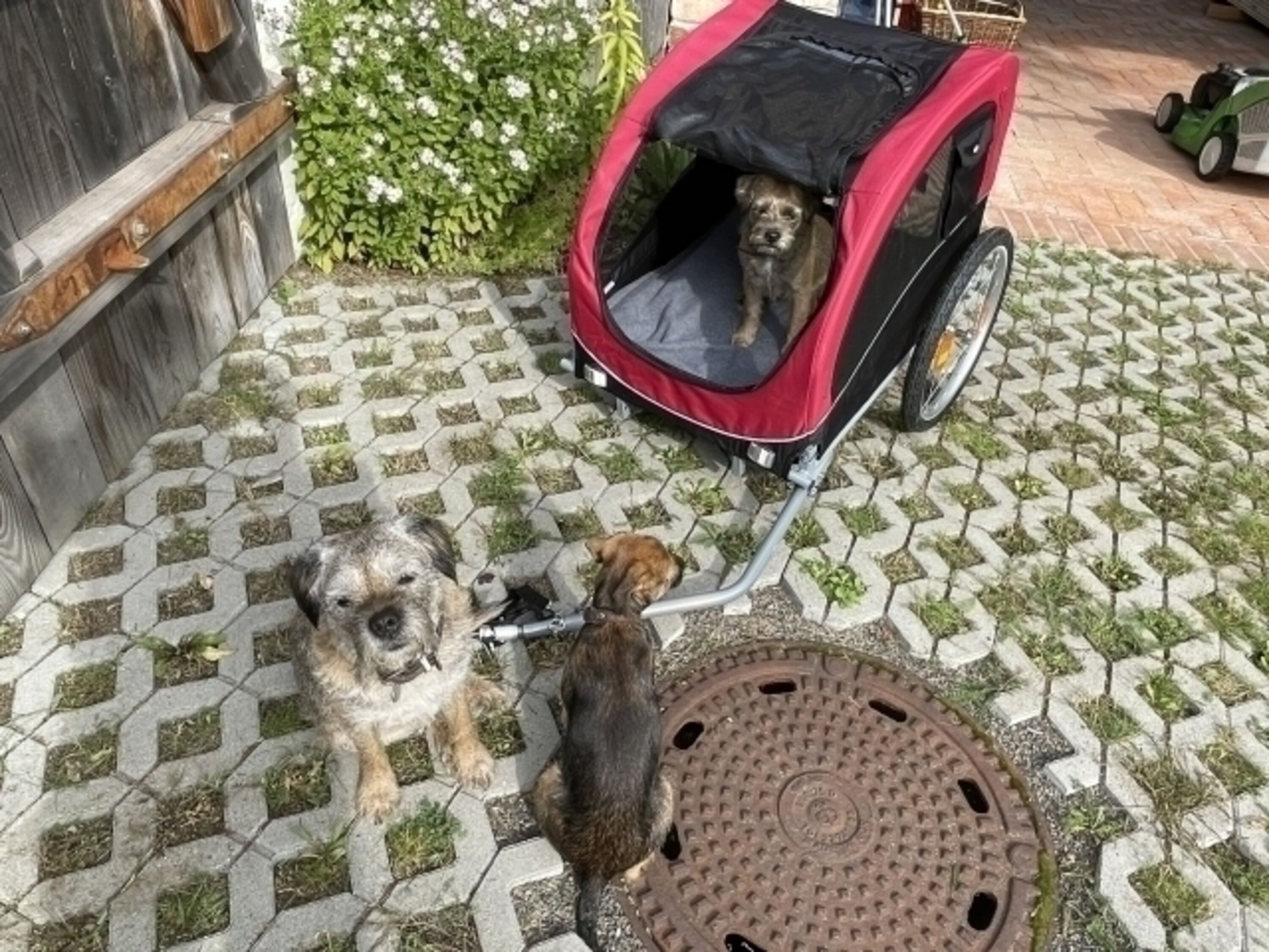 Bild 21