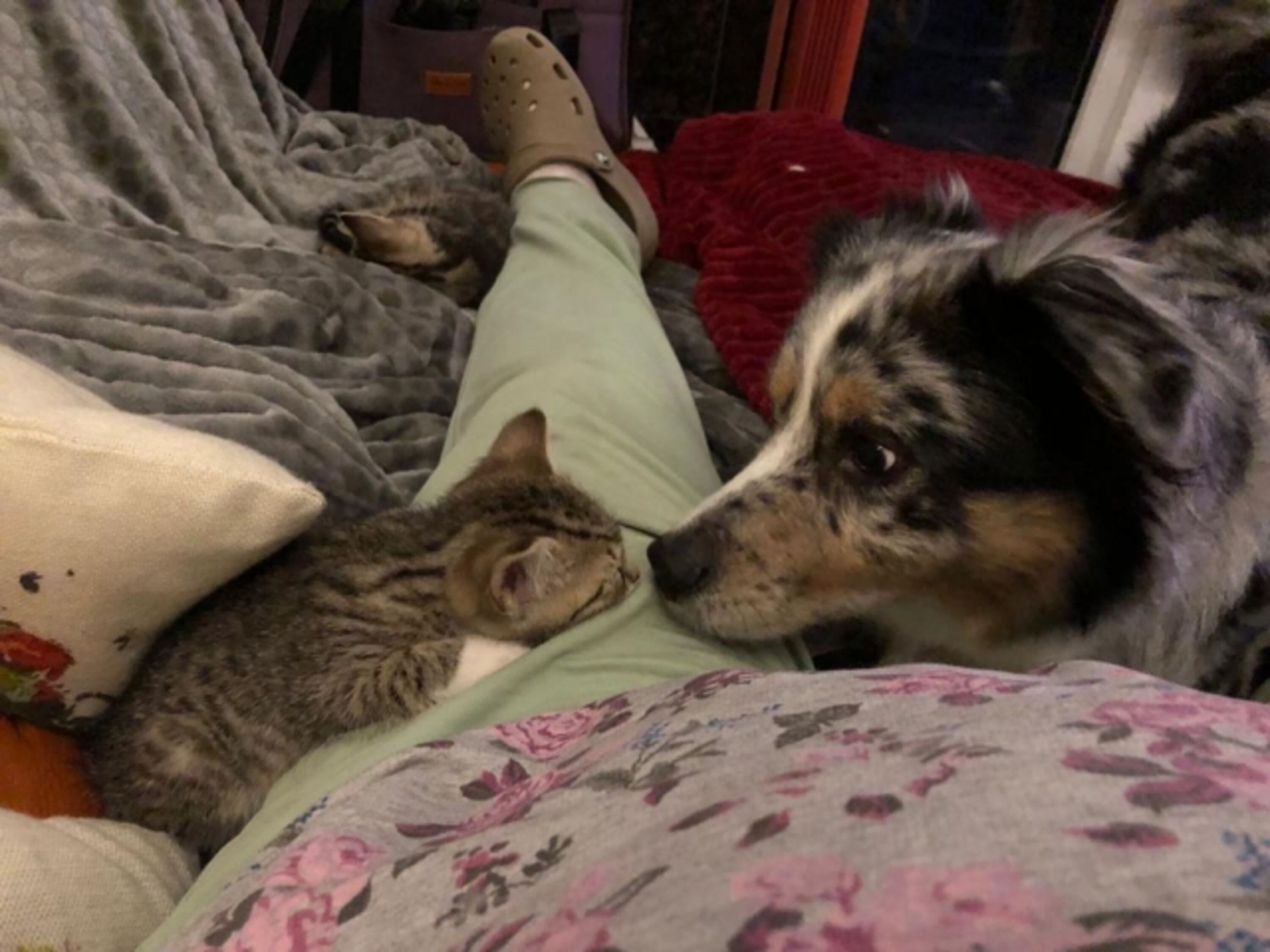Loki und Mila