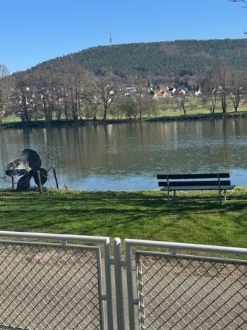 Blick aus dem Garten