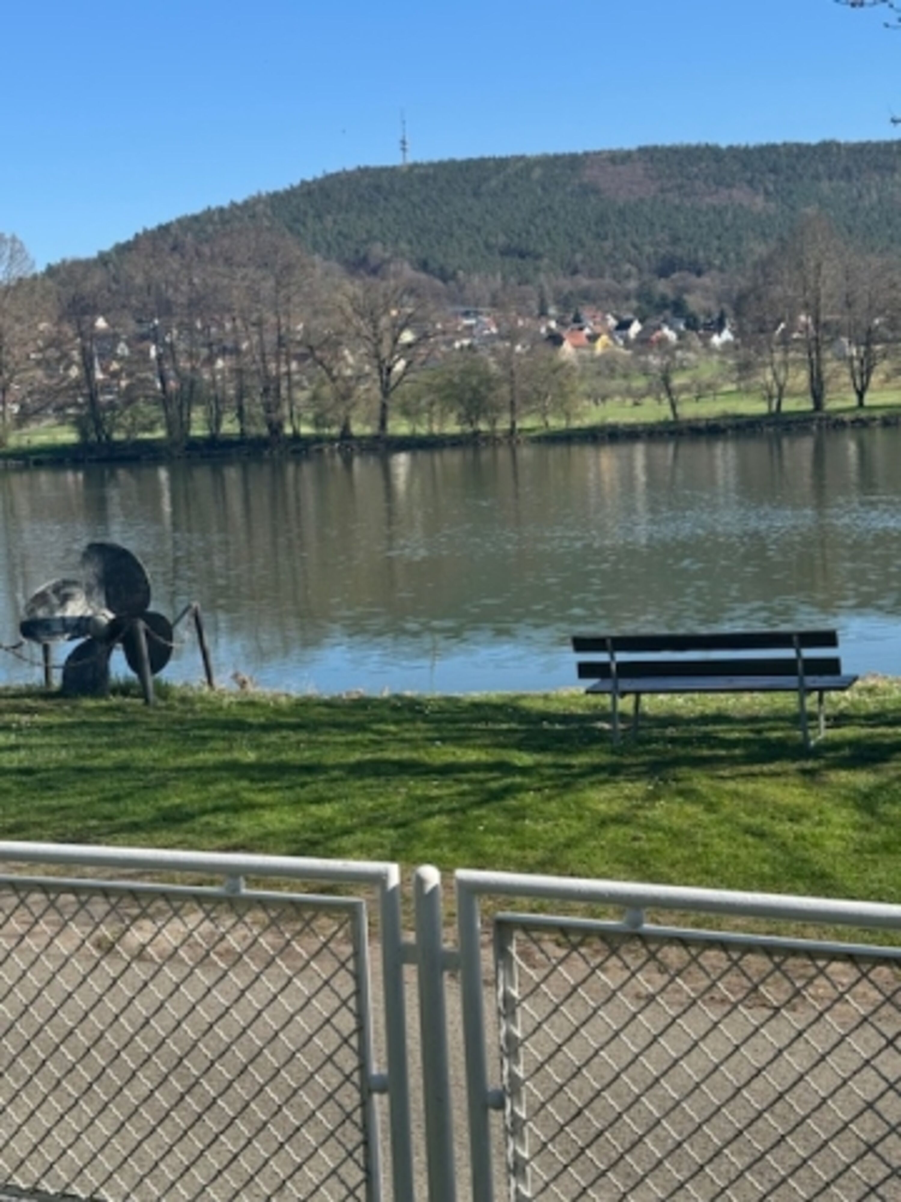 Blick aus dem Garten